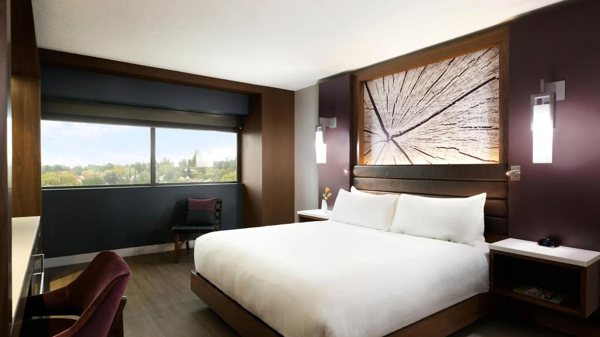 Walnut Creek Marriott Hotel 3*, Walnut Creek United States